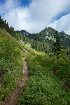 Hiking trail in mountainous alpine setting, Cascade Range, WA