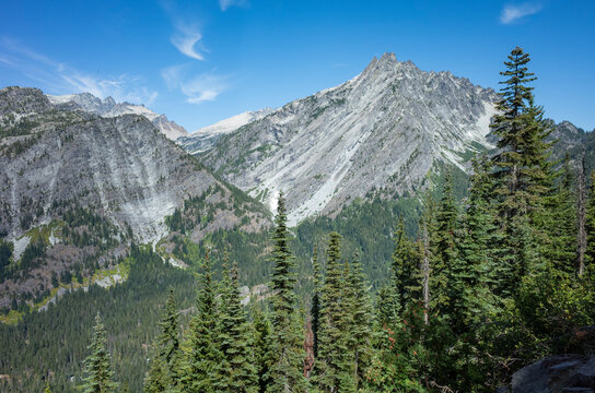 Alpine old growth forests and mountains, Cascade Range, Washington