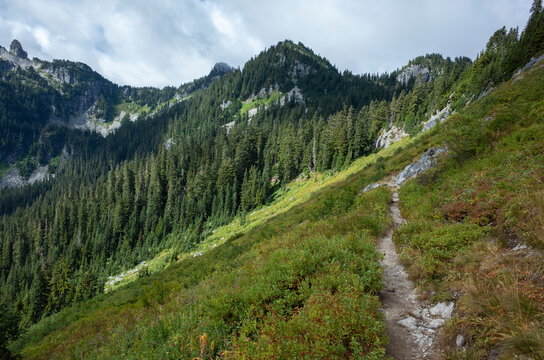 Hiking trail in mountainous alpine setting, Cascade Range, WA