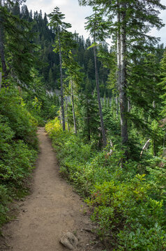 Hiking trail in mountainous alpine setting, Cascade Range, WA