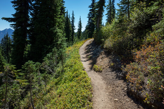 Hiking trail in mountainous alpine setting, Cascade Range, WA