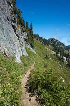 Hiking trail in mountainous alpine setting, Cascade Range, WA