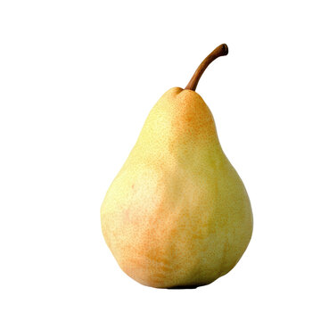 The transparent background set apart the ripe pear