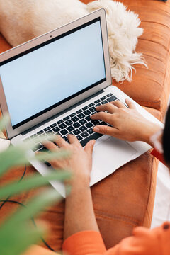 Hands of an unrecognizable person using a computer.
