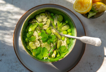 Spring vegetables and orzo in lemon vegetable broth.