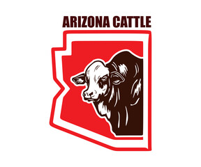 BRAFORD CATTLE IN SIMPLE ARIZONA MAP, silhouette of great young cow head.