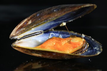 Prepared seafood mussel ready to eat