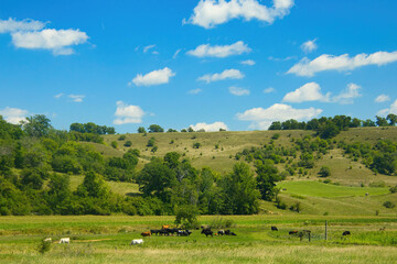 Under a blue summer sky with puffy white clouds, rolling green farm fields dotted with trees...