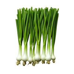 Green onions sliced on a transparent background