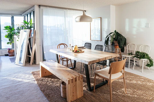 Dining and living room with table plants, and hanging light pendant