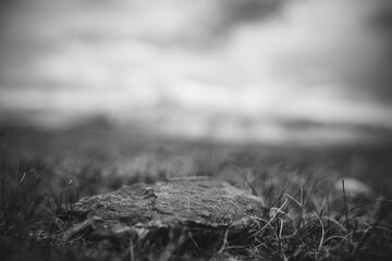 Dark stone in the field.black and white toned image 