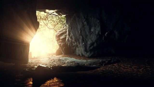 big dark cave and sun light from jungle forest