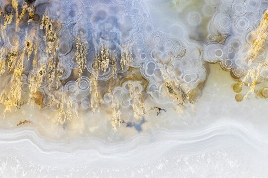 Dendritic Agate Structure Macro  