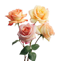 Fototapeta premium transparent background with roses