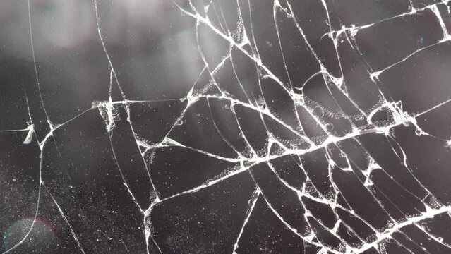 Background animation of cracked glass with lights and lens dirt. The texture of broken glass with moving light and camera. Type B.