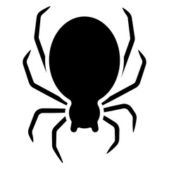 spider icon