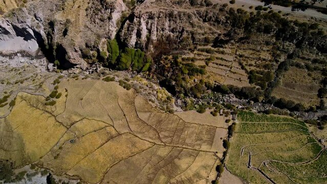 Aerial view in the altiplano, sunny evening, Putre,  Chile - top down reveal, drone shot
