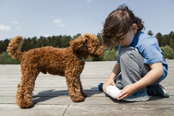 Little boy and poodle puppy in a park