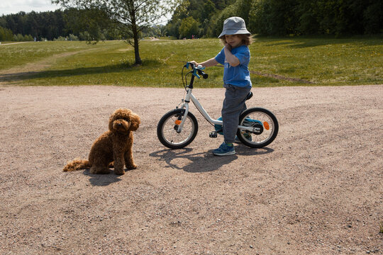 Little boy on bike with a puppy in park