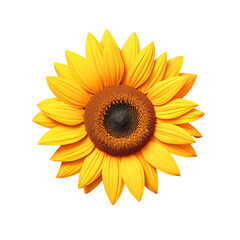 Fototapeta premium Sunflower represents the summer season with a transparent background