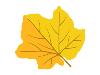 Autumn Falling Leaves Illustration
