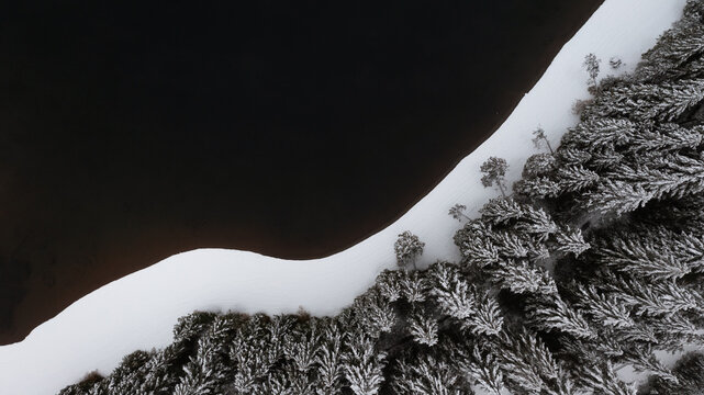 forest and lake in winter in british columbia