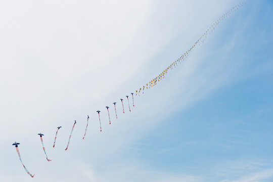 Kites soaring up into the air 