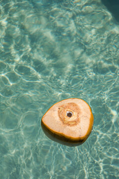 A fresh coconut floating in a blue swimming pool
