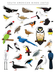 South American Birds Set Cartoon Vector Character 2
