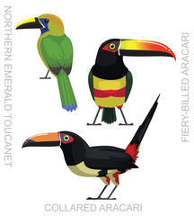 Obraz premium Cute Bird Toucanet Aracari Set Cartoon Vector