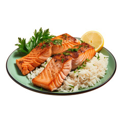 Grilled salmon and rice transparent background