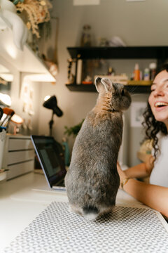 rabbit standing up while young woman looks at it smiling