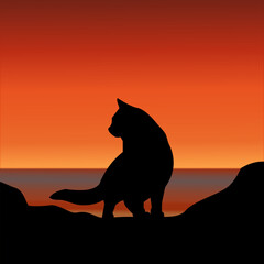 The Enchanting Sunset Silhouette of a Cat on Coastal Rocks