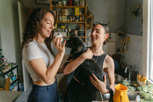 woman holding her dog in kitchen, friend playing with dog