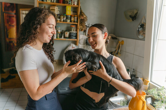 woman holding her dog in kitchen, friend playing with dog