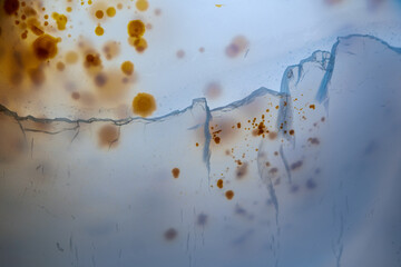 Marine chalcedony agate mineral detail texture