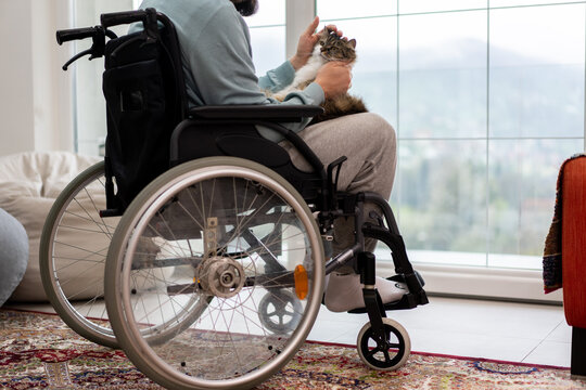 Man in wheelchair playing with cat