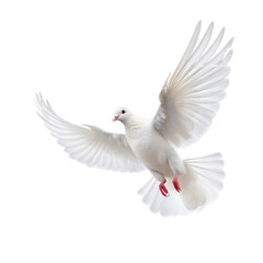 Flying White Pigeon isolated on transparent background, peace dove, Generative ai