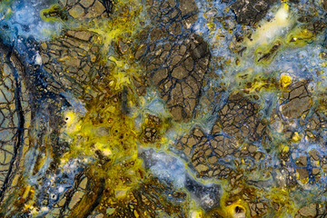 agate with black galaxy symbiotic