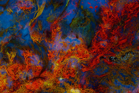 Colorful agate texture details