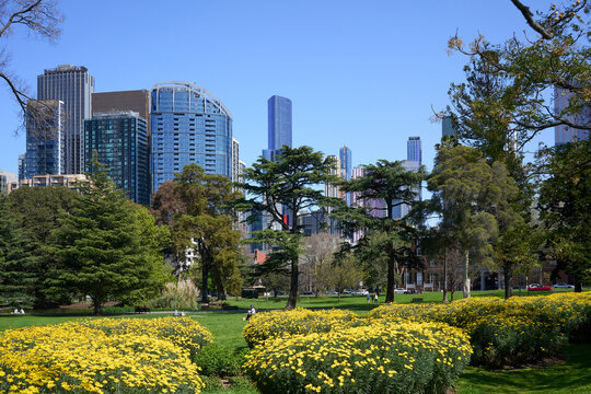 Carlton gardens and view to Melbourne City