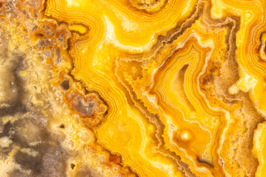 Banded Crazy Lace Agate Cross Section 