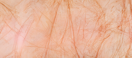 Wrinkled texture of human skin