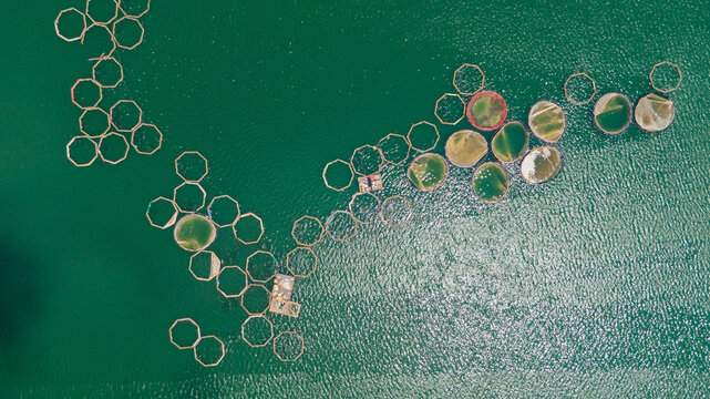 Aerial view of fish farms in the lake

