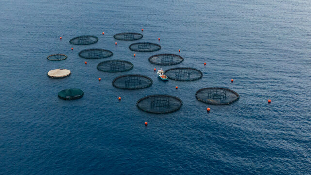 Drone view of fish farms in the sea, blue water
