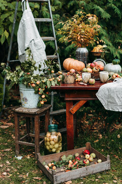 Gifts of the autumn harvest