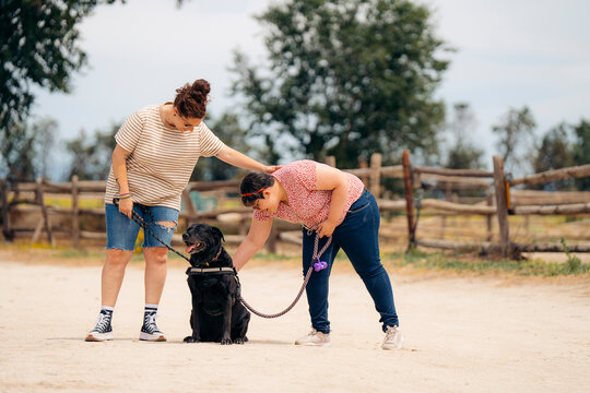 concept learning by animal assisted living