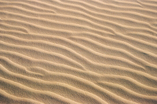 Calm sandy beach with small waves