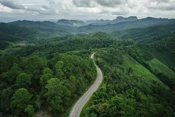 Fotobehang Bospad road in green forest after rain  © artrachen