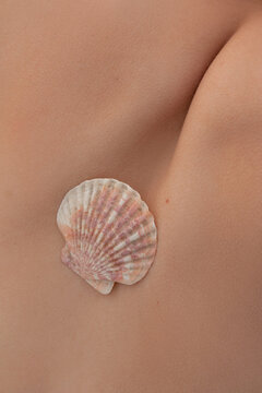 The seashell on the skin of young woman.